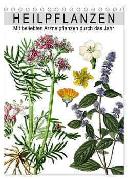Heilpflanzen (Tischkalender 2024 DIN A5 hoch), CALVENDO Monatskalender von bilwissedition.com Layout: Babette Reek,  Bilder: