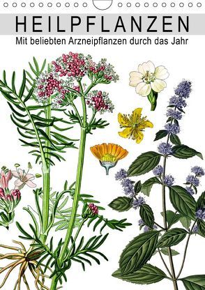 Heilpflanzen (Wandkalender 2019 DIN A4 hoch) von bilwissedition.com Layout: Babette Reek,  Bilder: