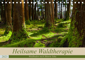 Heilsame Waldtherapie – Waldbaden nach Shinrin Yoku (Tischkalender 2023 DIN A5 quer) von Webeler,  Janita