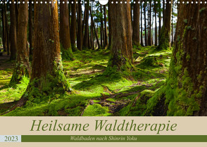Heilsame Waldtherapie – Waldbaden nach Shinrin Yoku (Wandkalender 2023 DIN A3 quer) von Webeler,  Janita