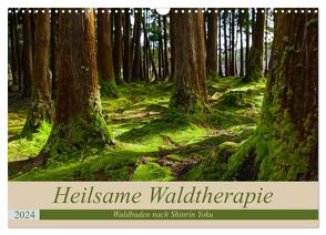 Heilsame Waldtherapie – Waldbaden nach Shinrin Yoku (Wandkalender 2024 DIN A3 quer), CALVENDO Monatskalender von Webeler,  Janita