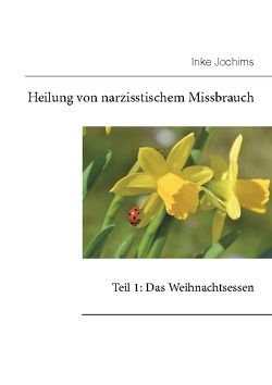 Heilung von narzisstischem Missbrauch von Jochims,  Inke