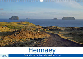 Heimaey – Islands bezaubernde Vulkaninsel (Wandkalender 2022 DIN A3 quer) von Dehnhardt,  Patrick