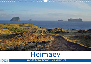 Heimaey – Islands bezaubernde Vulkaninsel (Wandkalender 2023 DIN A3 quer) von Dehnhardt,  Patrick