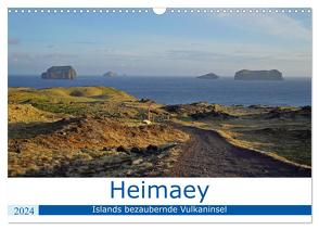 Heimaey – Islands bezaubernde Vulkaninsel (Wandkalender 2024 DIN A3 quer), CALVENDO Monatskalender von Dehnhardt,  Patrick