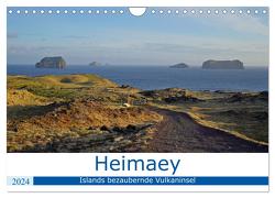 Heimaey – Islands bezaubernde Vulkaninsel (Wandkalender 2024 DIN A4 quer), CALVENDO Monatskalender von Dehnhardt,  Patrick