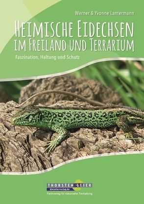 Heimische Eidechsen im Freiland und Terrarium von Lantermann,  Werner, Lantermann,  Yvonne