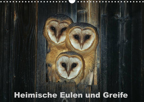 Heimische Eulen und Greife (Wandkalender 2023 DIN A3 quer) von Bachmeier,  Günter