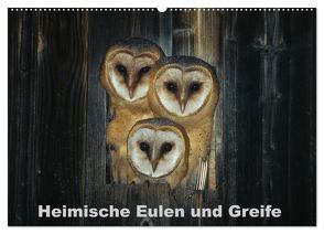 Heimische Eulen und Greife (Wandkalender 2024 DIN A2 quer), CALVENDO Monatskalender von Bachmeier,  Günter