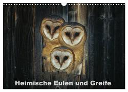Heimische Eulen und Greife (Wandkalender 2024 DIN A3 quer), CALVENDO Monatskalender von Bachmeier,  Günter