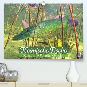 Heimische Fische: Karpfen, Forelle, Hecht (Premium, hochwertiger DIN A2 Wandkalender 2023, Kunstdruck in Hochglanz) von CALVENDO