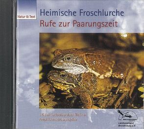 Heimische Froschlurche – Stimmen zur Paarungszeit von Alscher,  Gerhard, Baier,  Reinhard, Tetzlaff,  Immo