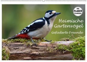 Heimische Gartenvögel Gefiederte Freunde (Wandkalender 2019 DIN A2 quer) von Wilczek,  Dieter-M.