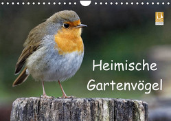 Heimische Gartenvögel (Wandkalender 2023 DIN A4 quer) von Wilczek,  Dieter