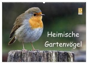 Heimische Gartenvögel (Wandkalender 2024 DIN A2 quer), CALVENDO Monatskalender von Wilczek,  Dieter