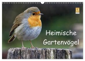 Heimische Gartenvögel (Wandkalender 2024 DIN A3 quer), CALVENDO Monatskalender von Wilczek,  Dieter