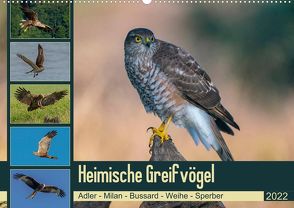 Heimische GREIFVÖGEL Adler Milan Bussard Weihe Sperber (Premium, hochwertiger DIN A2 Wandkalender 2022, Kunstdruck in Hochglanz) von Wünsche,  Arne