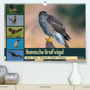 Heimische GREIFVÖGEL Adler Milan Bussard Weihe Sperber (Premium, hochwertiger DIN A2 Wandkalender 2023, Kunstdruck in Hochglanz) von Wünsche,  Arne