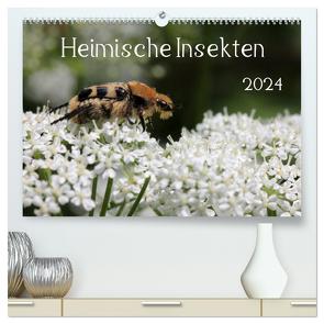 Heimische Insekten 2024 (hochwertiger Premium Wandkalender 2024 DIN A2 quer), Kunstdruck in Hochglanz von Hahnefeld,  Silvia