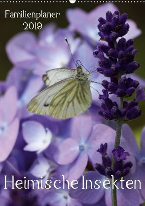 Heimische Insekten / Familienplaner (Wandkalender 2019 DIN A2 hoch) von Hahnefeld,  Silvia