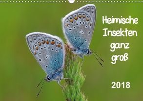 Heimische Insekten ganz GROSS (Wandkalender 2018 DIN A3 quer) von Wolf,  Gerald