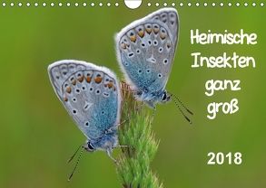 Heimische Insekten ganz GROSS (Wandkalender 2018 DIN A4 quer) von Wolf,  Gerald