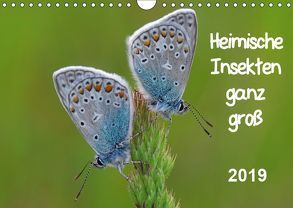Heimische Insekten ganz GROSS (Wandkalender 2019 DIN A4 quer) von Wolf,  Gerald