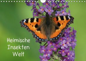 Heimische Insekten Welten (Wandkalender 2018 DIN A4 quer) von kattobello