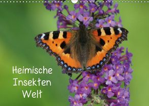 Heimische Insekten Welten (Wandkalender 2019 DIN A3 quer) von kattobello