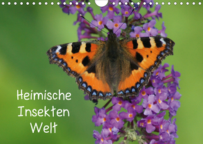 Heimische Insekten Welten (Wandkalender 2020 DIN A4 quer) von kattobello