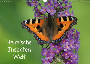 Heimische Insekten Welten (Wandkalender 2021 DIN A3 quer) von kattobello