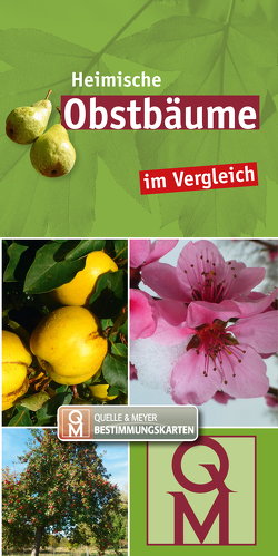 Heimische Obstbäume im Vergleich von Quelle & Meyer Verlag