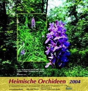 Heimische Orchideen I (2004) von Beyer,  Rudolf, Markert,  Wilfried, NABU LV Thüringen
