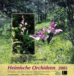 Heimische Orchideen II (2005) von Beyer,  R, Markert,  W