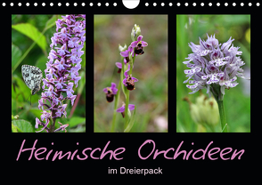 Heimische Orchideen im Dreierpack (Wandkalender 2020 DIN A4 quer) von Löwer,  Sabine