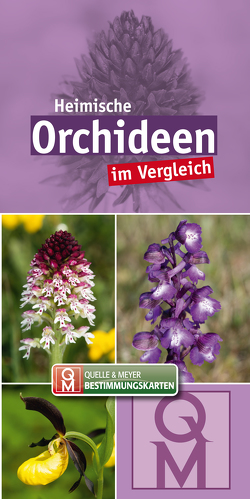 Heimische Orchideen im Vergleich von Quelle & Meyer Verlag