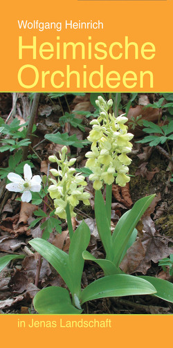 Heimische Orchideen in Jenas Landschaft von Heinrich,  Wolfgang