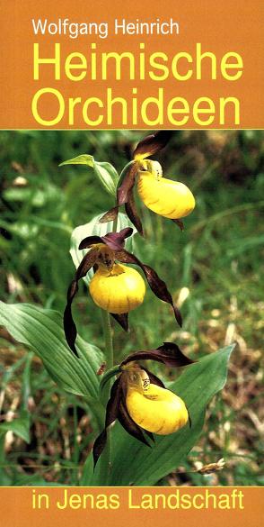 Heimische Orchideen in Jenas Landschaft von Beier,  Rudolf, Heinrich,  Wolfgang, Köhler,  Gabriele, Voelckel,  H.