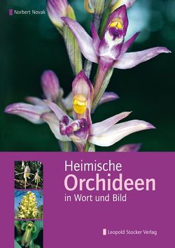 Heimische Orchideen in Wort und Bild von Novak,  Norbert