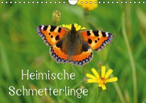 Heimische Schmetterlinge / Geburtstagskalender (Wandkalender immerwährend DIN A4 quer) von Kattobello,  k.A.