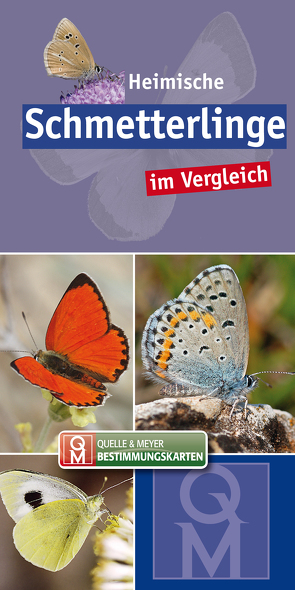 Heimische Schmetterlinge im Vergleich von Quelle & Meyer Verlag