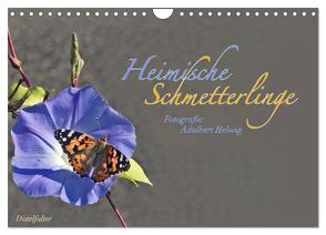 Heimische Schmetterlinge (Wandkalender 2024 DIN A4 quer), CALVENDO Monatskalender von Helwig,  Adalbert