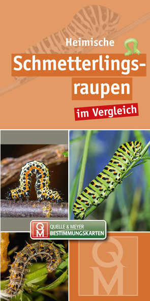 Heimische Schmetterlingsraupen von Quelle & Meyer Verlag