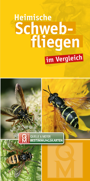 Heimische Schwebfliegen im Vergleich von Quelle & Meyer Verlag
