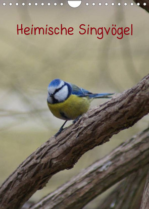 Heimische Singvögel (Wandkalender 2022 DIN A4 hoch) von kattobello