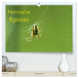 Heimische Spinnen (hochwertiger Premium Wandkalender 2024 DIN A2 quer), Kunstdruck in Hochglanz von Schäfer,  Otto