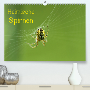 Heimische Spinnen (Premium, hochwertiger DIN A2 Wandkalender 2021, Kunstdruck in Hochglanz) von Schäfer,  Otto