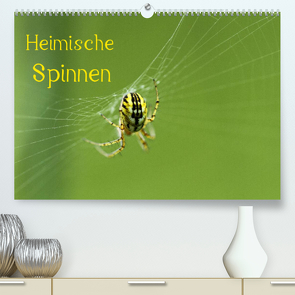 Heimische Spinnen (Premium, hochwertiger DIN A2 Wandkalender 2022, Kunstdruck in Hochglanz) von Schäfer,  Otto