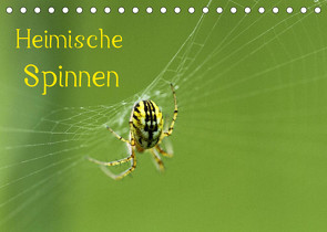 Heimische Spinnen (Tischkalender 2022 DIN A5 quer) von Schäfer,  Otto