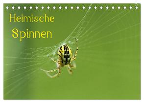 Heimische Spinnen (Tischkalender 2024 DIN A5 quer), CALVENDO Monatskalender von Schäfer,  Otto